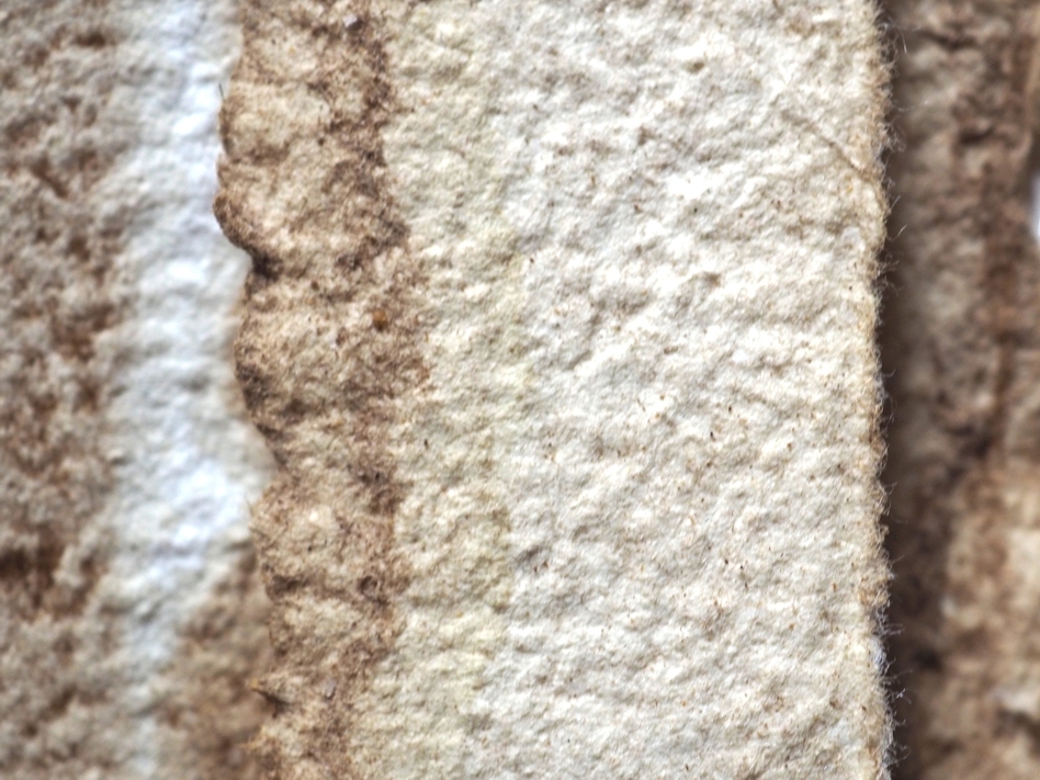 Kaffee auf Papier