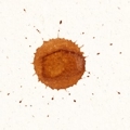 kaffeefleck